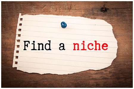 Find a Niche