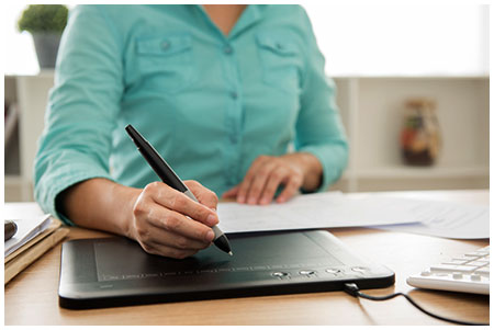 Web Designer